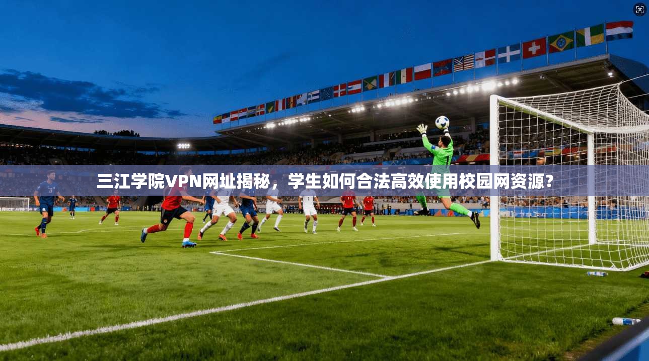 三江学院VPN网址揭秘，学生如何合法高效使用校园网资源？