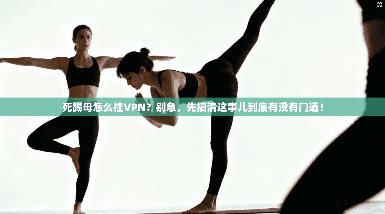死踢母怎么挂VPN？别急，先搞清这事儿到底有没有门道！