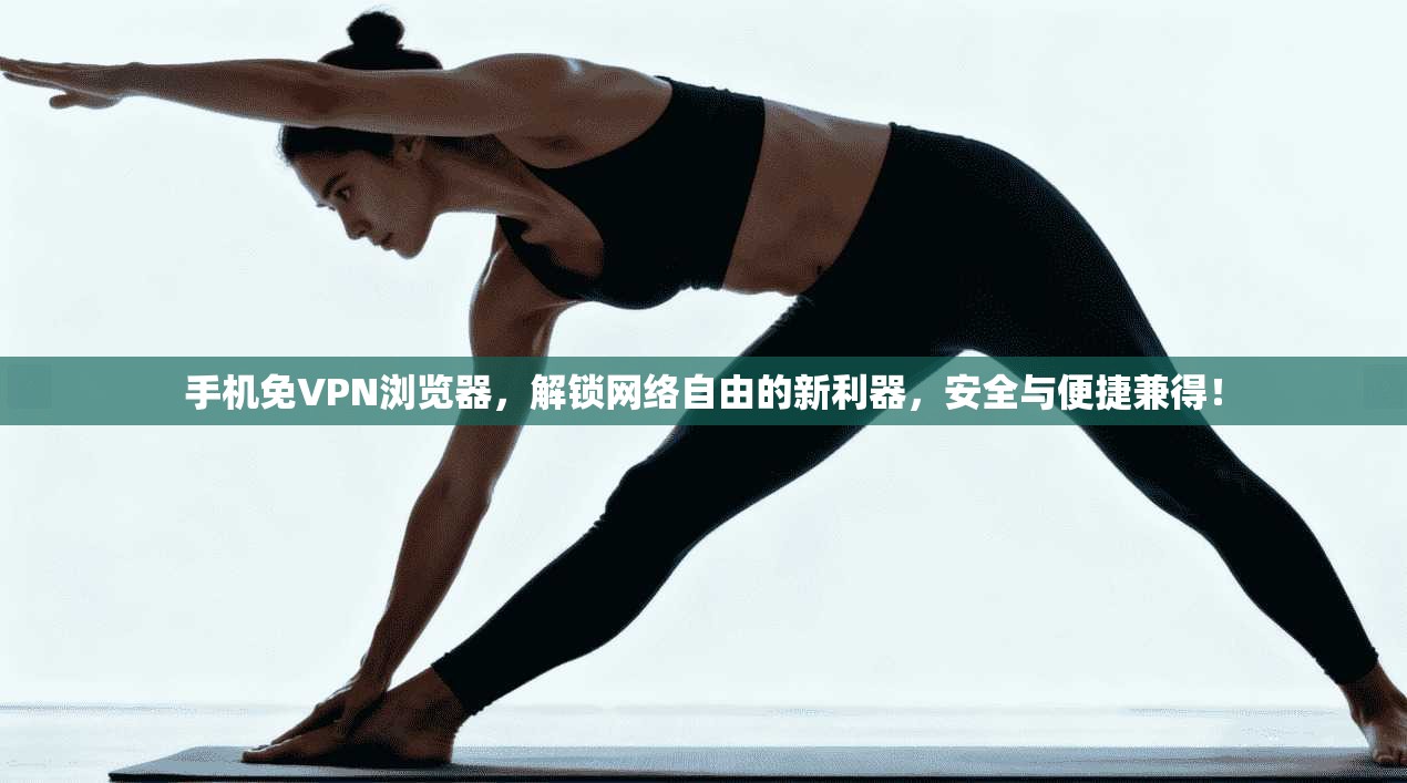 手机免VPN浏览器，解锁网络自由的新利器，安全与便捷兼得！