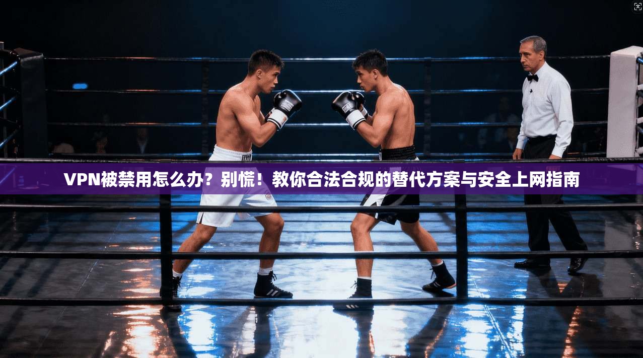 VPN被禁用怎么办？别慌！教你合法合规的替代方案与安全上网指南