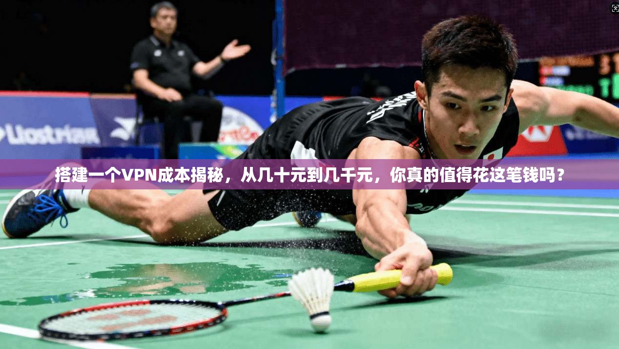 搭建一个VPN成本揭秘，从几十元到几千元，你真的值得花这笔钱吗？