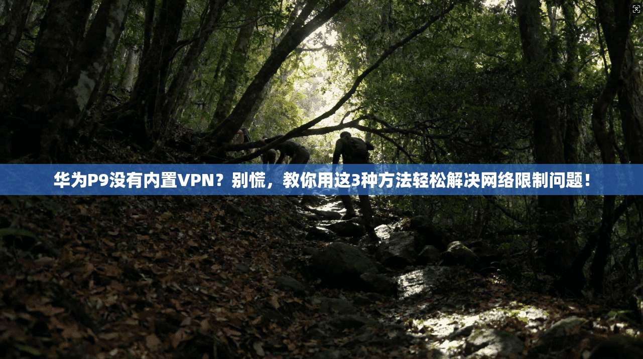 华为P9没有内置VPN？别慌，教你用这3种方法轻松解决网络限制问题！