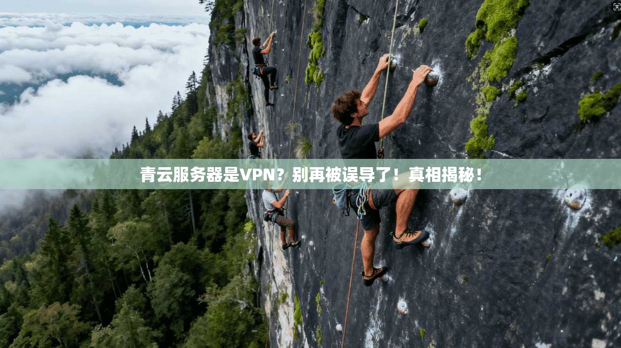 青云服务器是VPN？别再被误导了！真相揭秘！