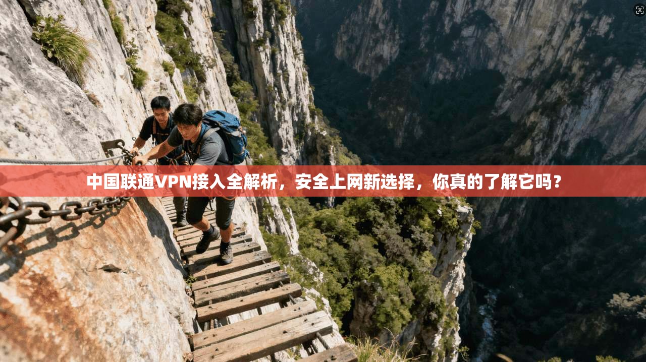 中国联通VPN接入全解析，安全上网新选择，你真的了解它吗？
