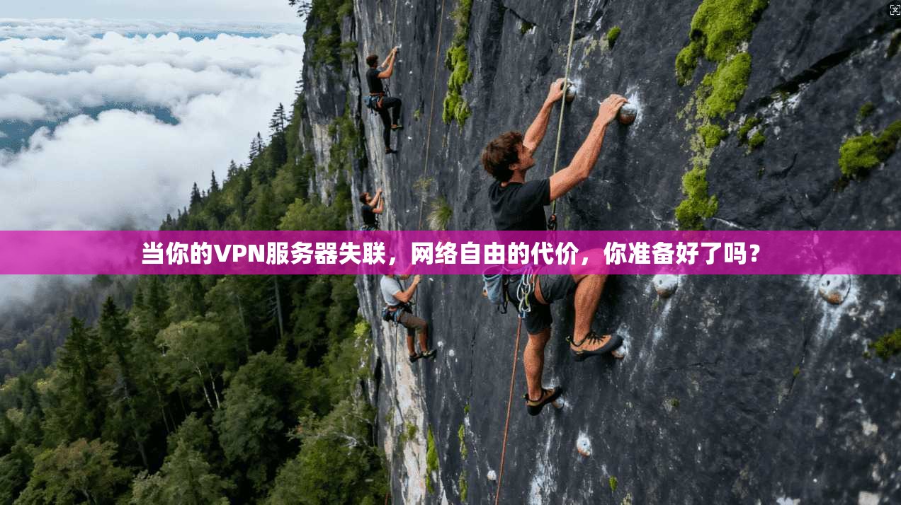 当你的VPN服务器失联，网络自由的代价，你准备好了吗？