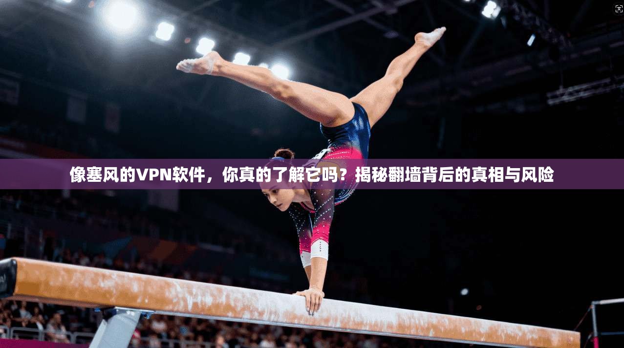 像塞风的VPN软件，你真的了解它吗？揭秘翻墙背后的真相与风险