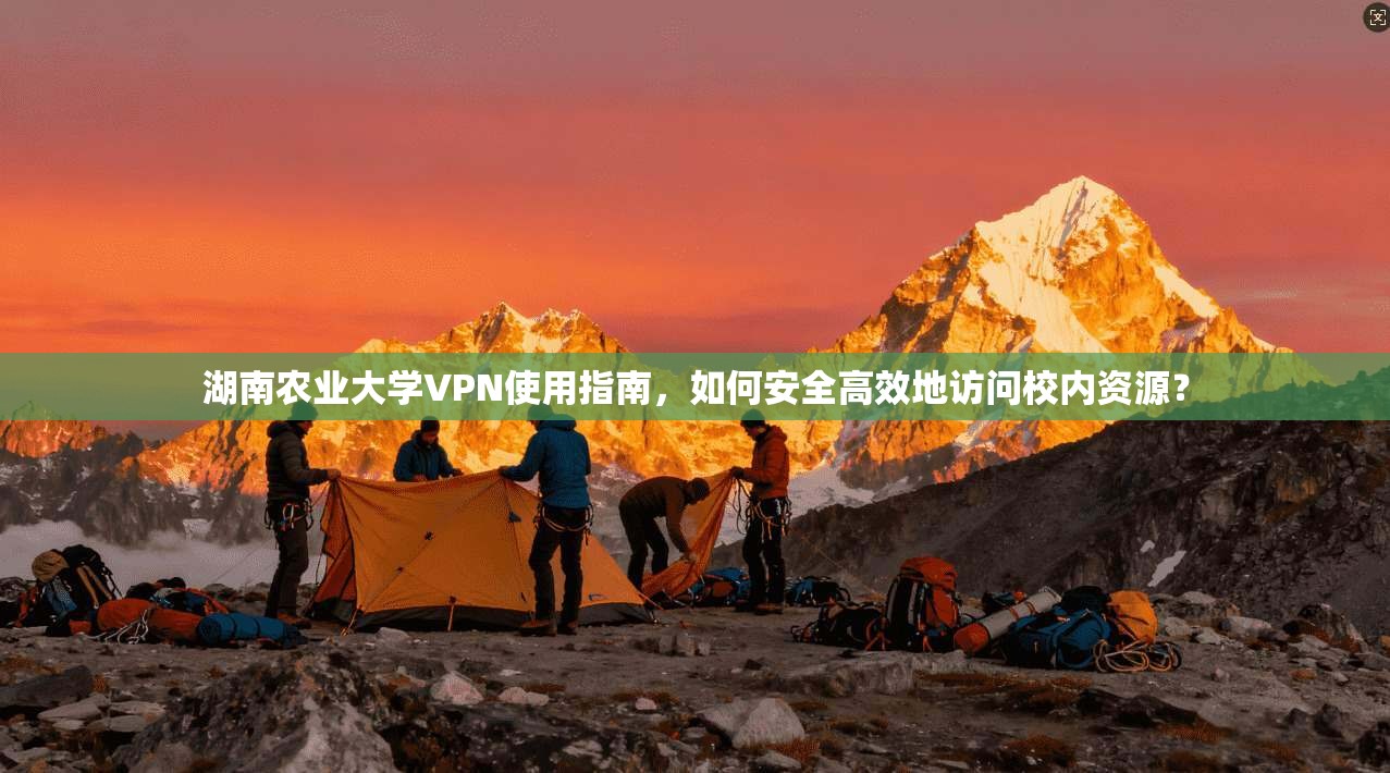 湖南农业大学VPN使用指南，如何安全高效地访问校内资源？