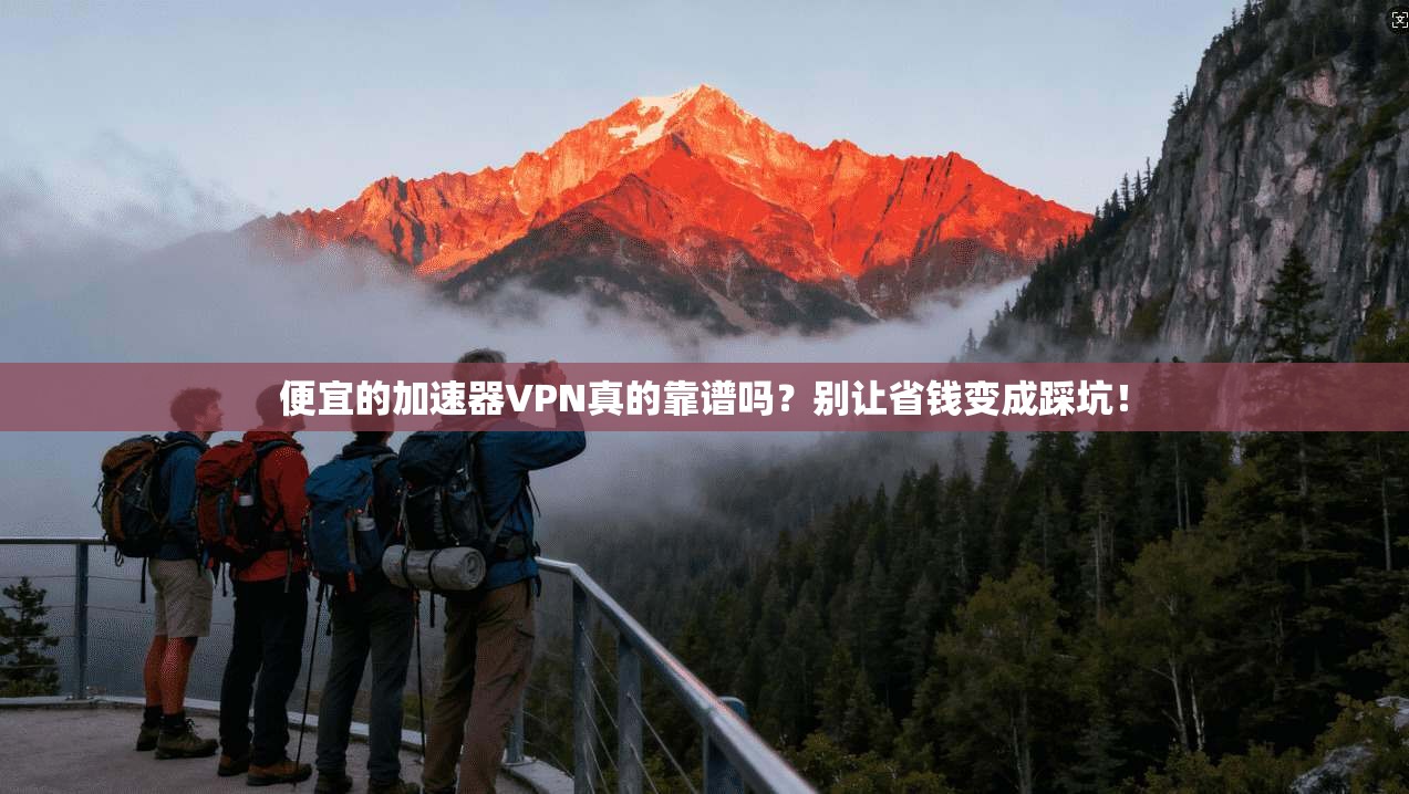 便宜的加速器VPN真的靠谱吗？别让省钱变成踩坑！