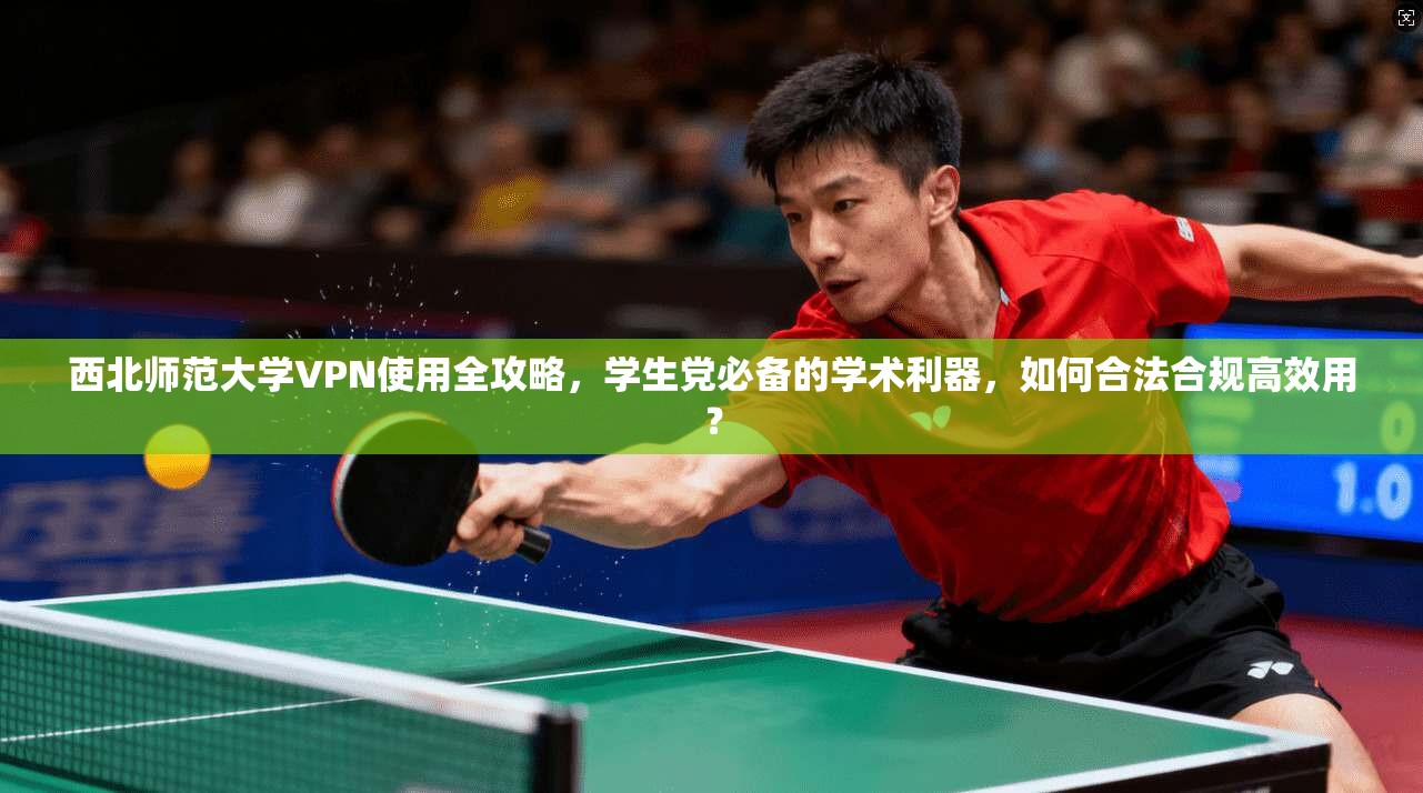 西北师范大学VPN使用全攻略，学生党必备的学术利器，如何合法合规高效用？