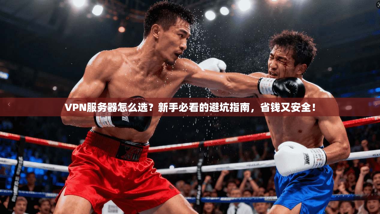VPN服务器怎么选？新手必看的避坑指南，省钱又安全！