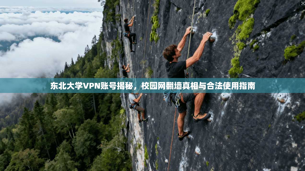 东北大学VPN账号揭秘，校园网翻墙真相与合法使用指南
