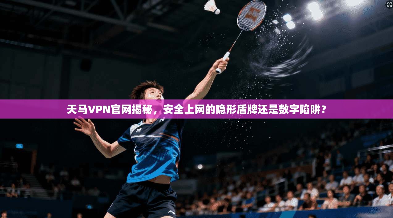 天马VPN官网揭秘，安全上网的隐形盾牌还是数字陷阱？