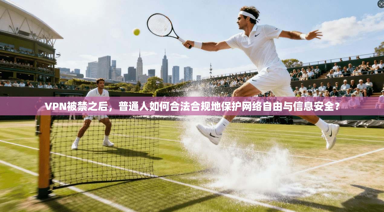 VPN被禁之后，普通人如何合法合规地保护网络自由与信息安全？
