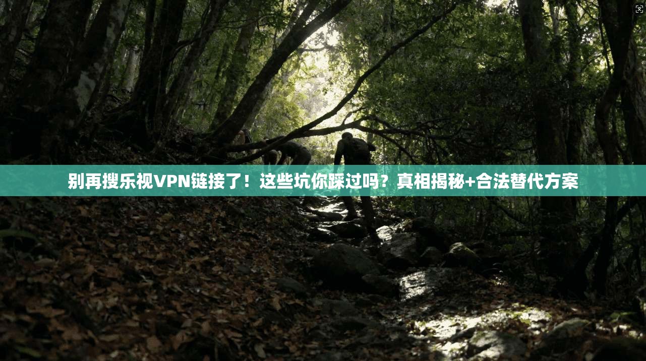 别再搜乐视VPN链接了！这些坑你踩过吗？真相揭秘+合法替代方案