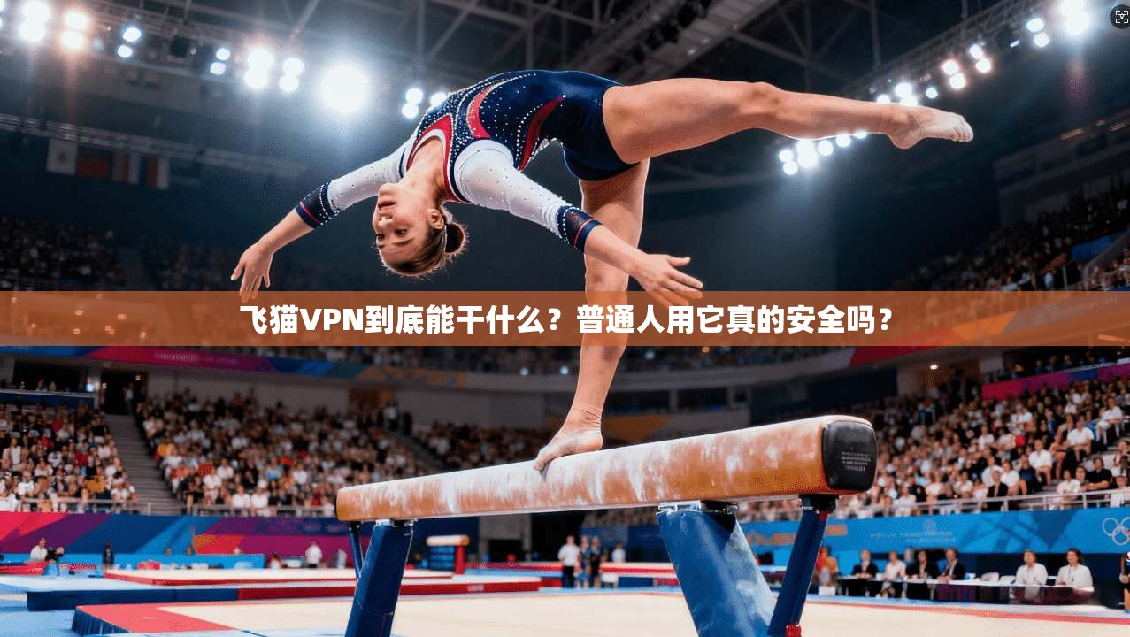 飞猫VPN到底能干什么？普通人用它真的安全吗？