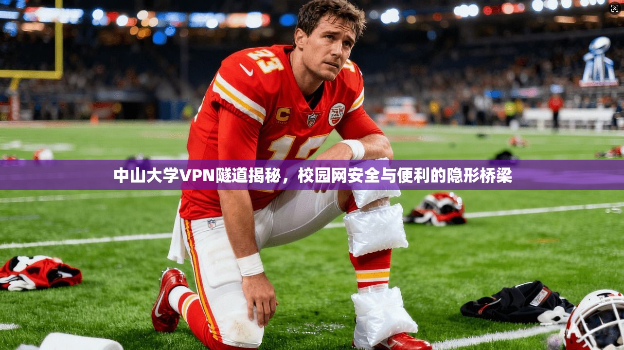 中山大学VPN隧道揭秘，校园网安全与便利的隐形桥梁