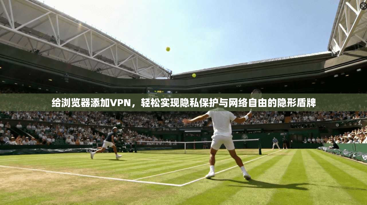 给浏览器添加VPN，轻松实现隐私保护与网络自由的隐形盾牌