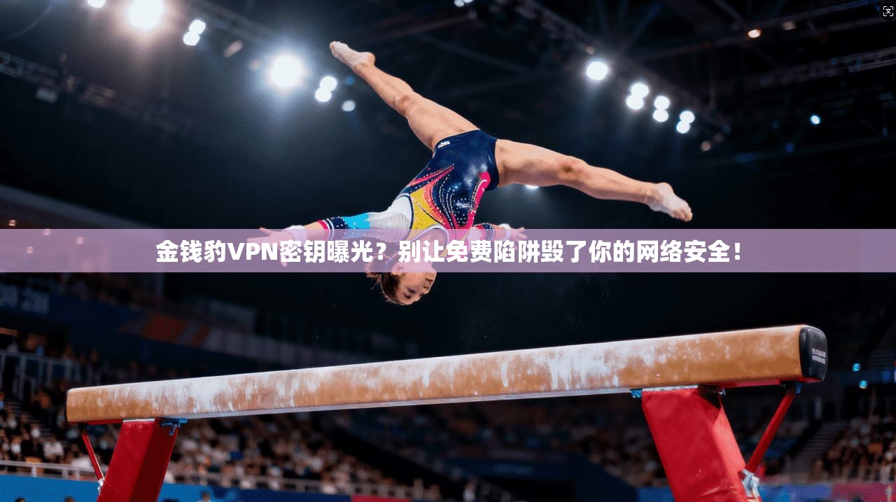 金钱豹VPN密钥曝光？别让免费陷阱毁了你的网络安全！