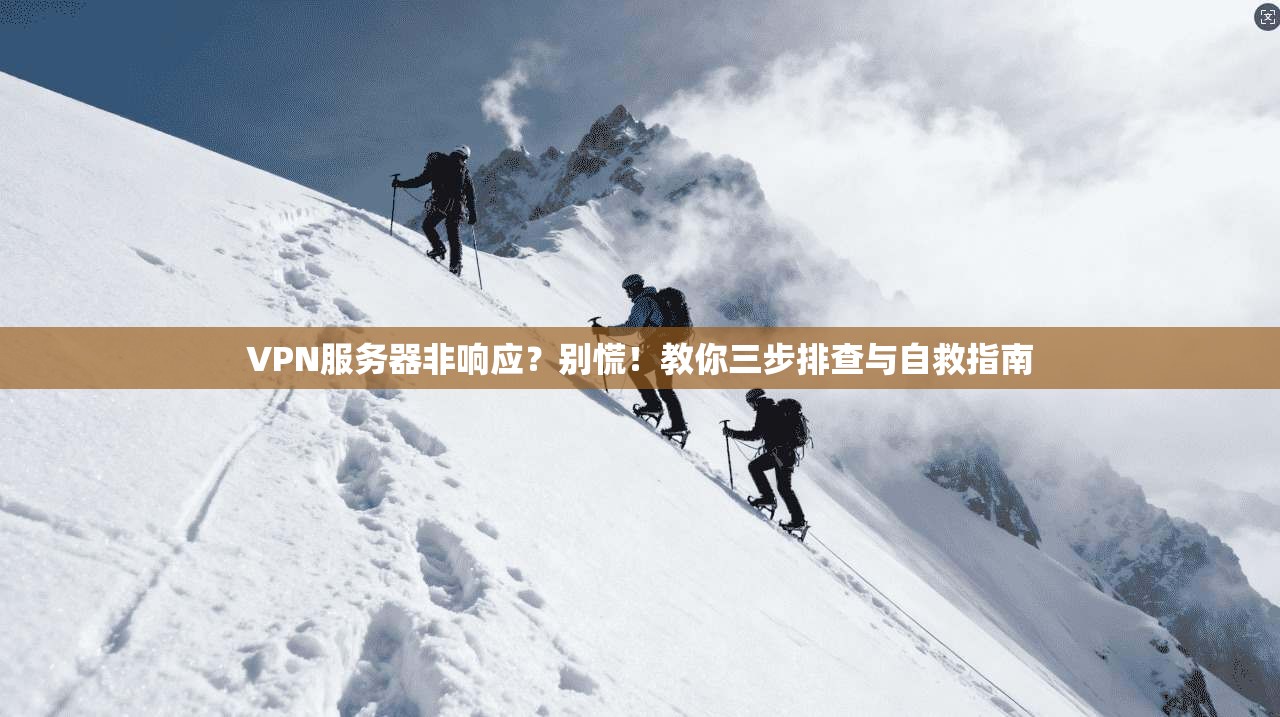 VPN服务器非响应？别慌！教你三步排查与自救指南