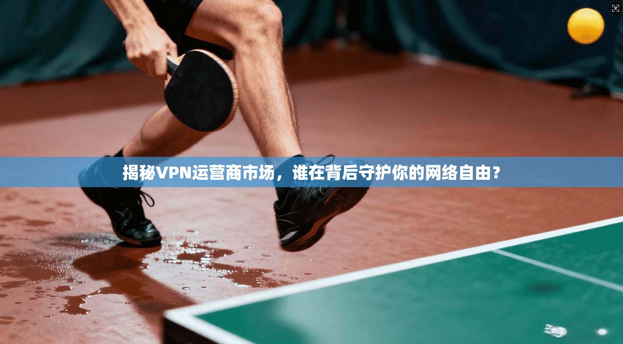 揭秘VPN运营商市场，谁在背后守护你的网络自由？