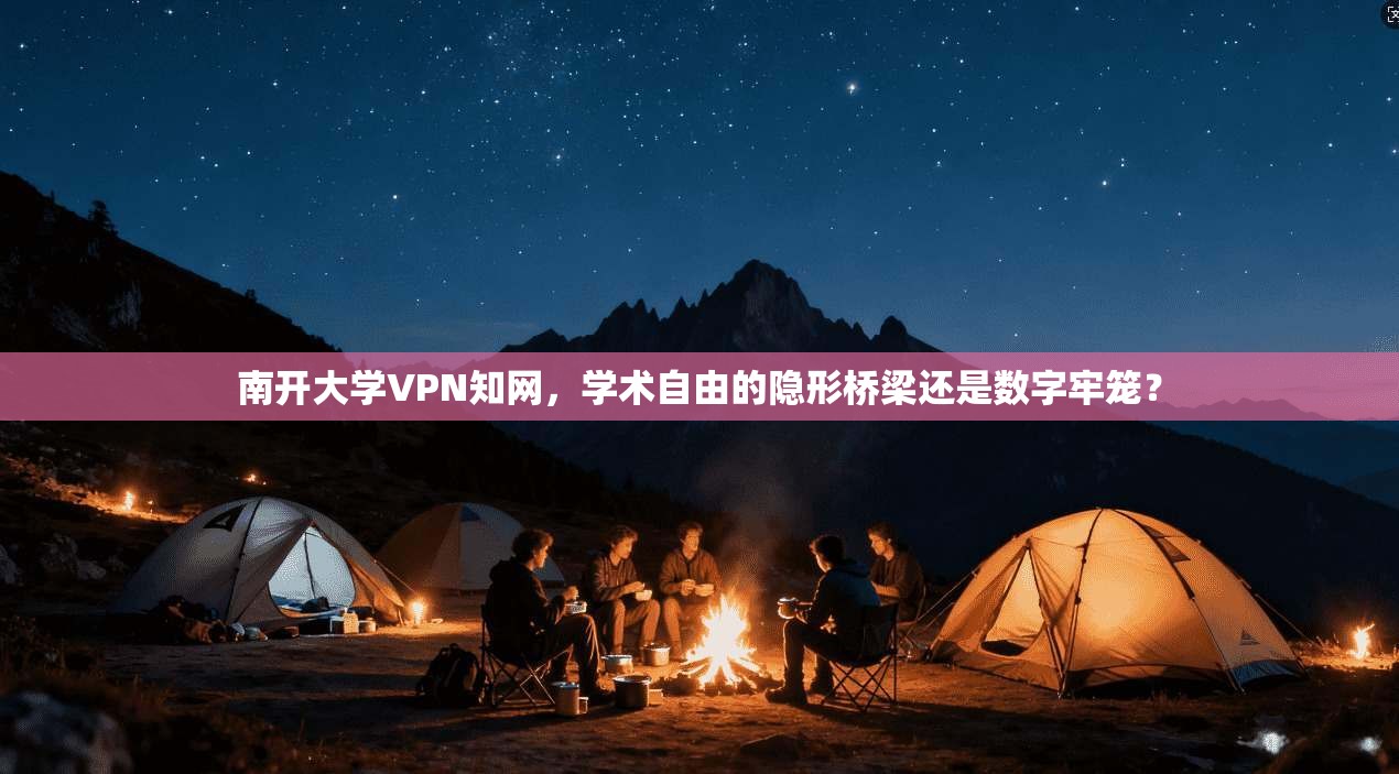 南开大学VPN知网，学术自由的隐形桥梁还是数字牢笼？