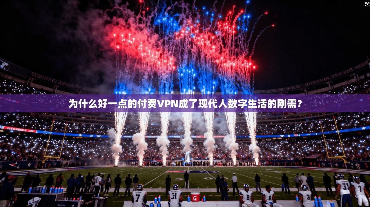 为什么好一点的付费VPN成了现代人数字生活的刚需？