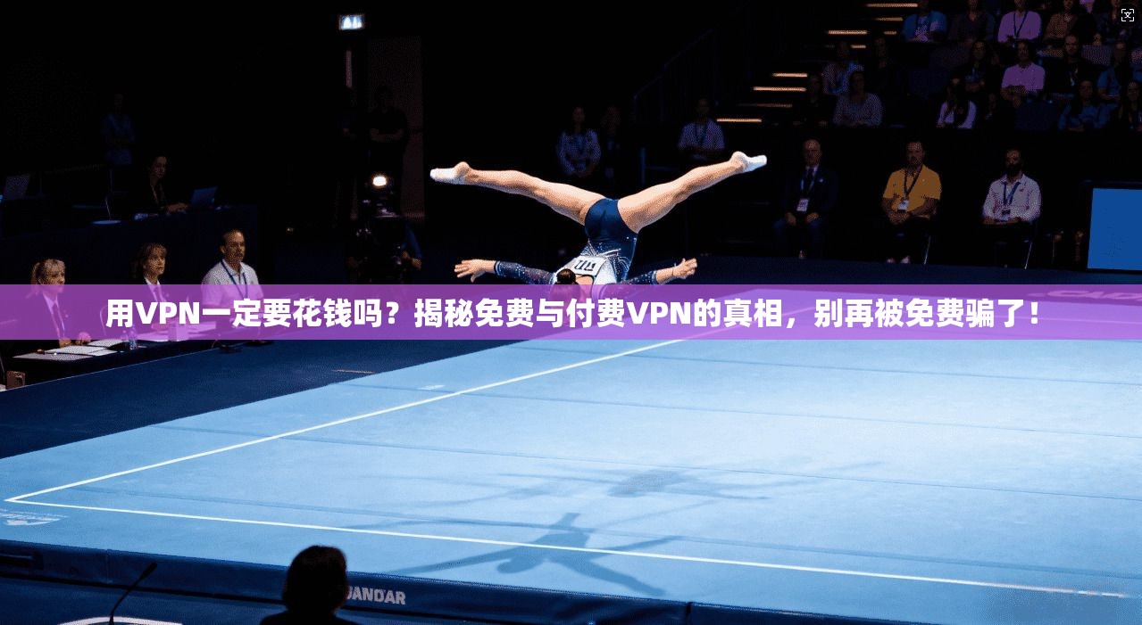 用VPN一定要花钱吗？揭秘免费与付费VPN的真相，别再被免费骗了！