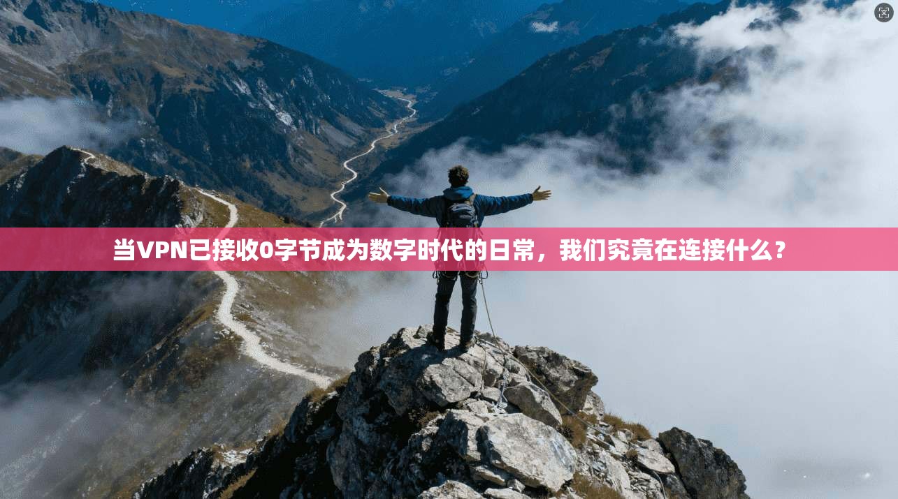 当VPN已接收0字节成为数字时代的日常，我们究竟在连接什么？