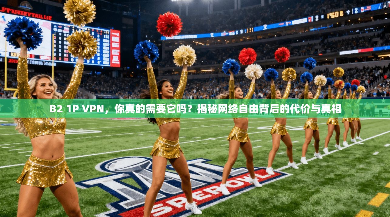 B2 1P VPN，你真的需要它吗？揭秘网络自由背后的代价与真相