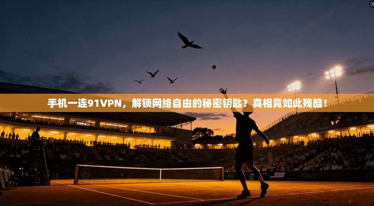 手机一连91VPN，解锁网络自由的秘密钥匙？真相竟如此残酷！