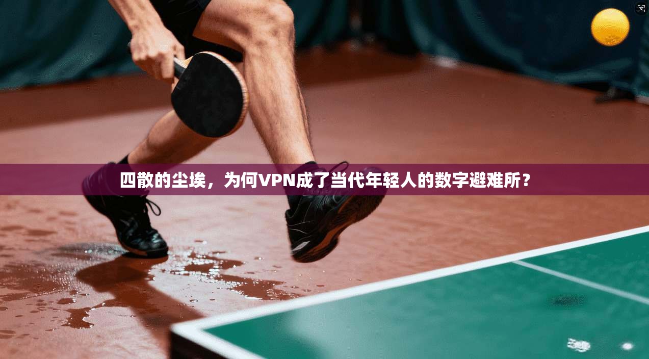 四散的尘埃，为何VPN成了当代年轻人的数字避难所？