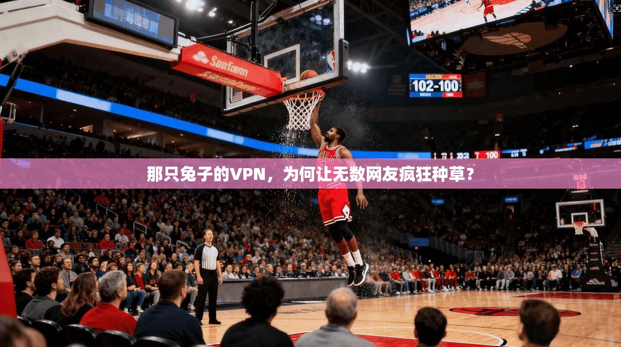 那只兔子的VPN，为何让无数网友疯狂种草？