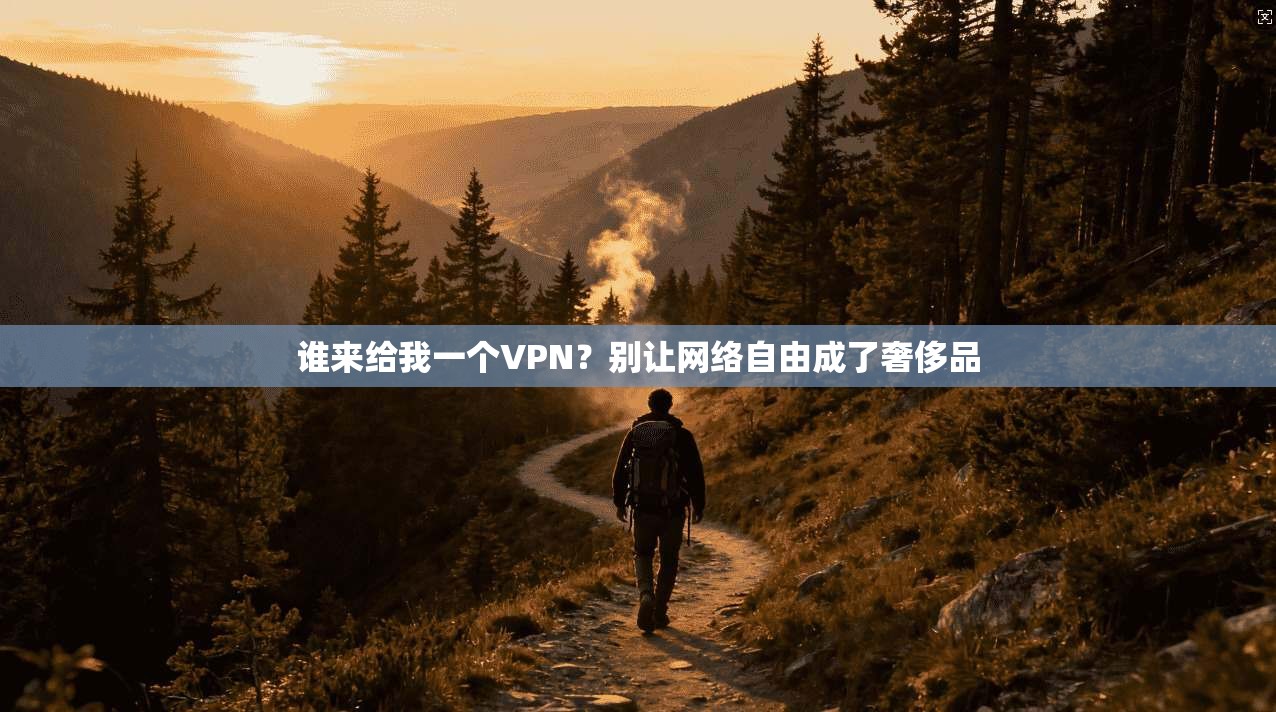 谁来给我一个VPN？别让网络自由成了奢侈品