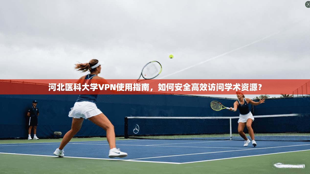 河北医科大学VPN使用指南，如何安全高效访问学术资源？