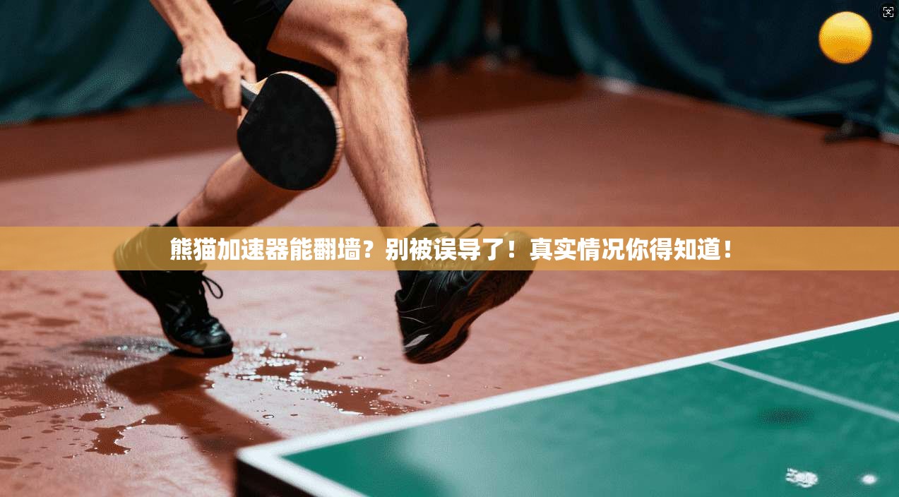 熊猫加速器能翻墙？别被误导了！真实情况你得知道！