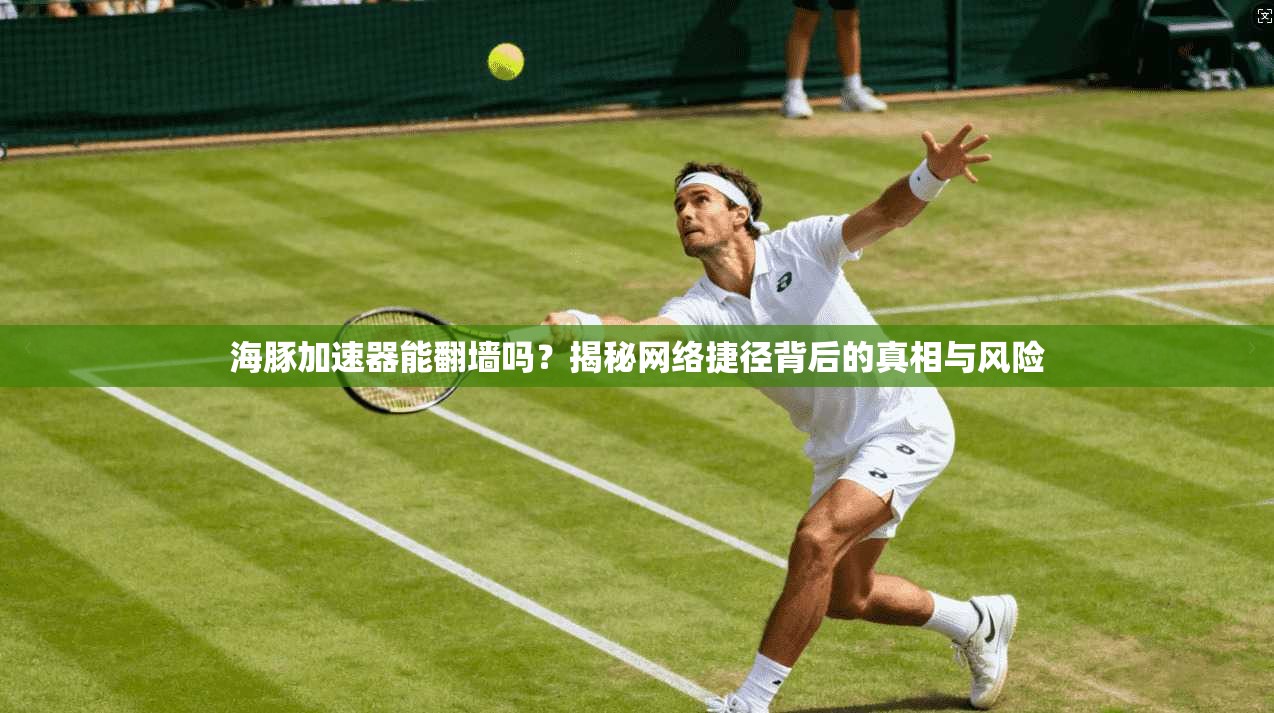 海豚加速器能翻墙吗？揭秘网络捷径背后的真相与风险