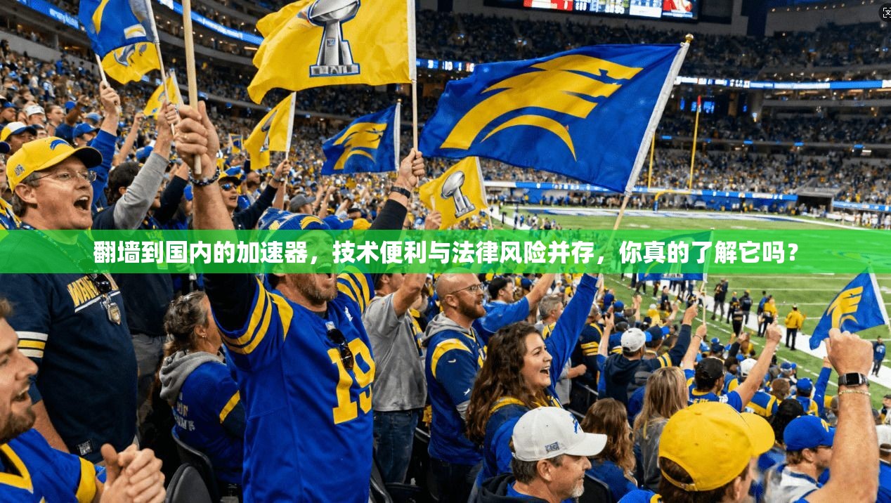 翻墙到国内的加速器，技术便利与法律风险并存，你真的了解它吗？