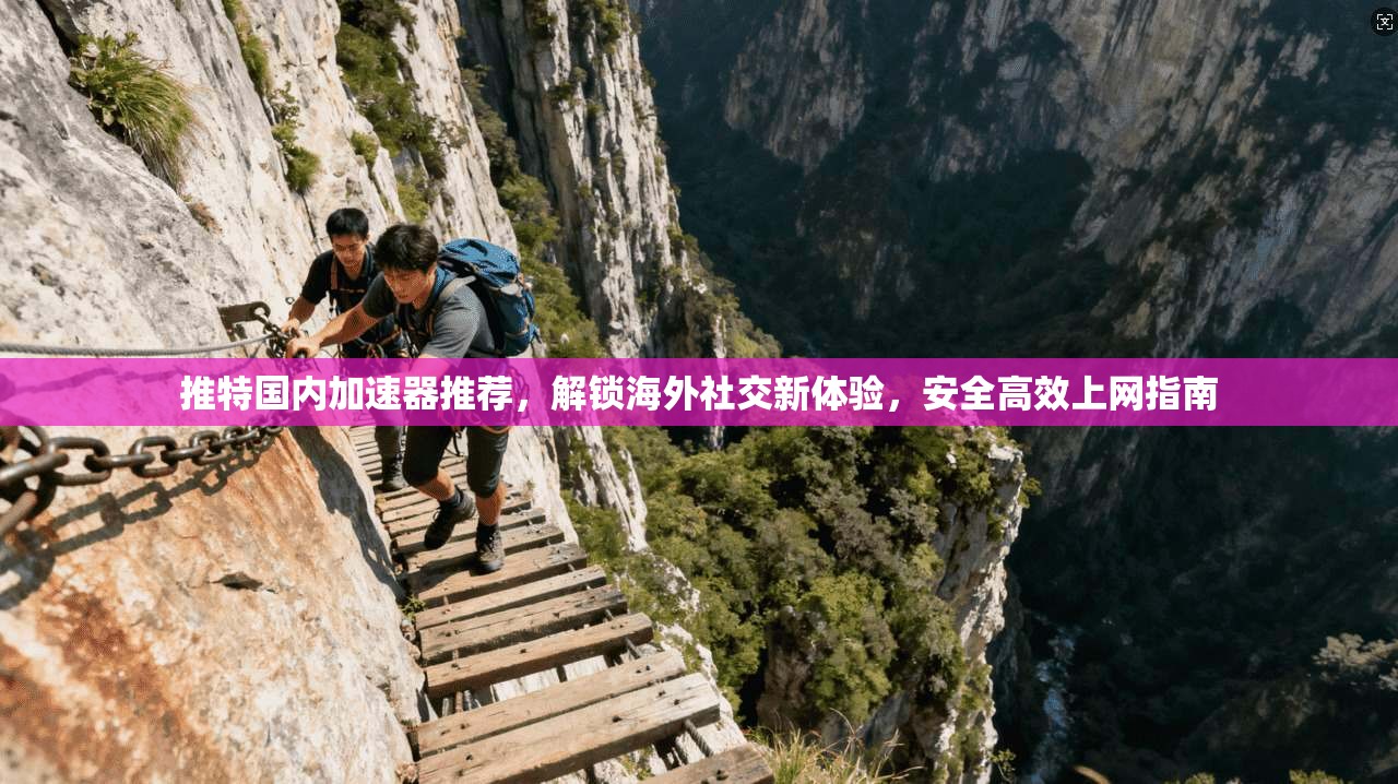 推特国内加速器推荐，解锁海外社交新体验，安全高效上网指南