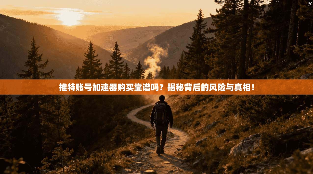 推特账号加速器购买靠谱吗？揭秘背后的风险与真相！