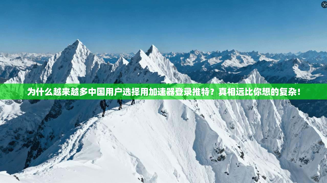 为什么越来越多中国用户选择用加速器登录推特？真相远比你想的复杂！