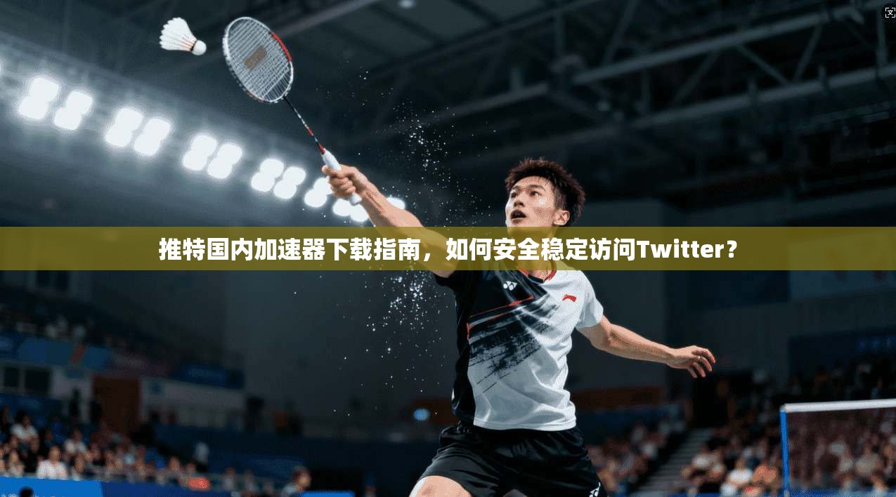 推特国内加速器下载指南，如何安全稳定访问Twitter？