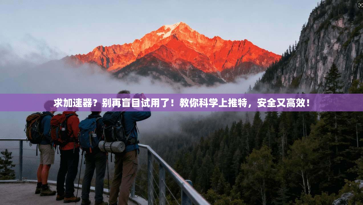 求加速器？别再盲目试用了！教你科学上推特，安全又高效！