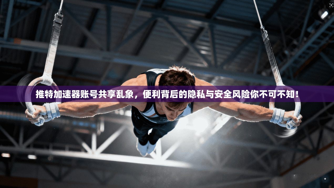 推特加速器账号共享乱象，便利背后的隐私与安全风险你不可不知！