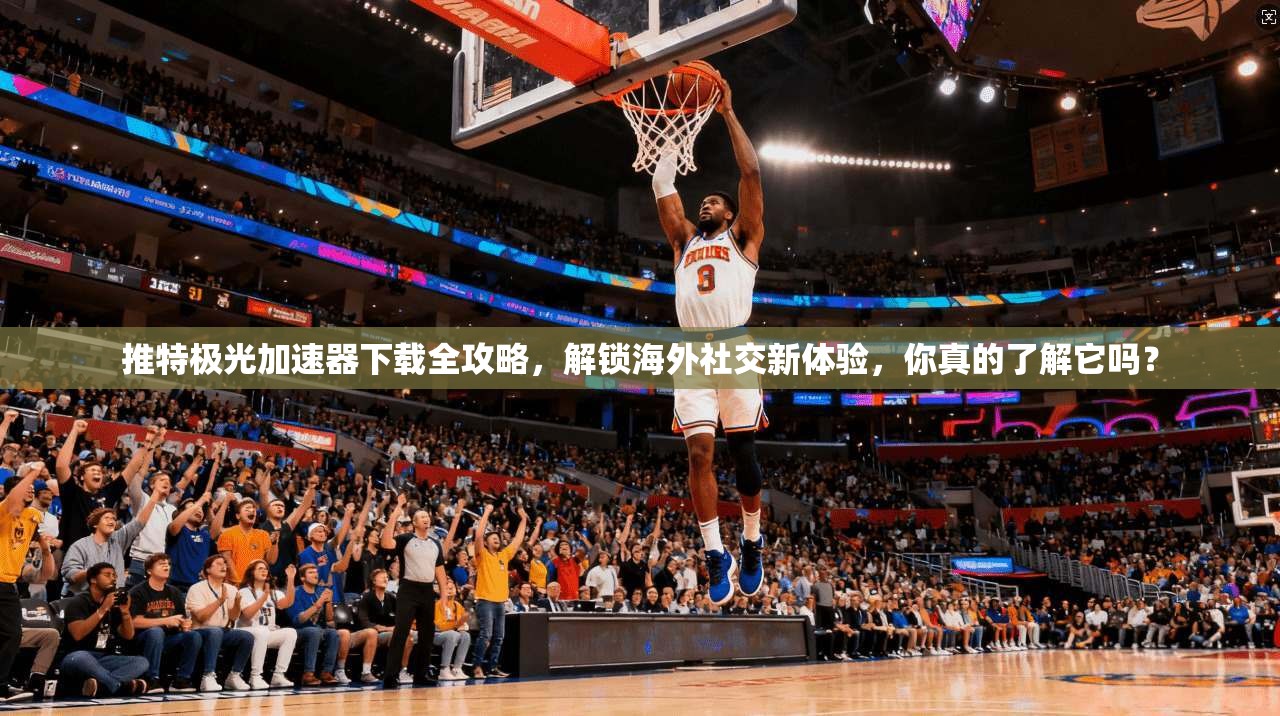 推特极光加速器下载全攻略，解锁海外社交新体验，你真的了解它吗？
