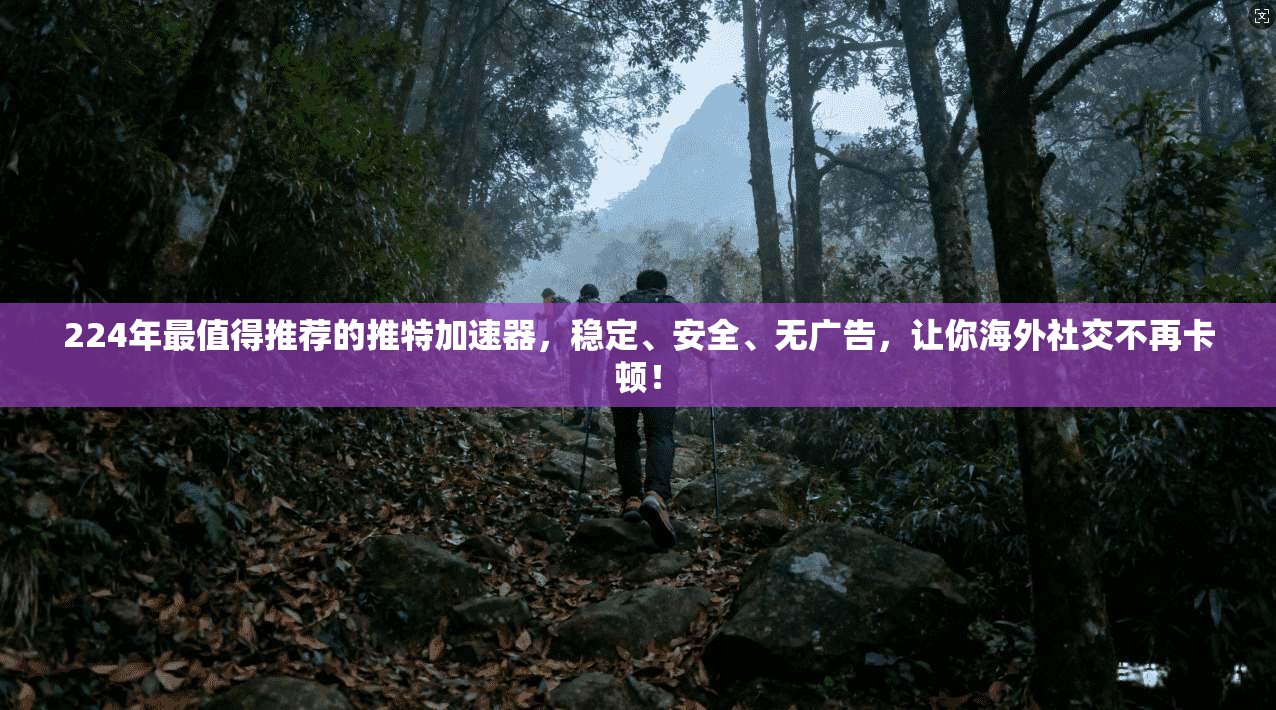 224年最值得推荐的推特加速器，稳定、安全、无广告，让你海外社交不再卡顿！