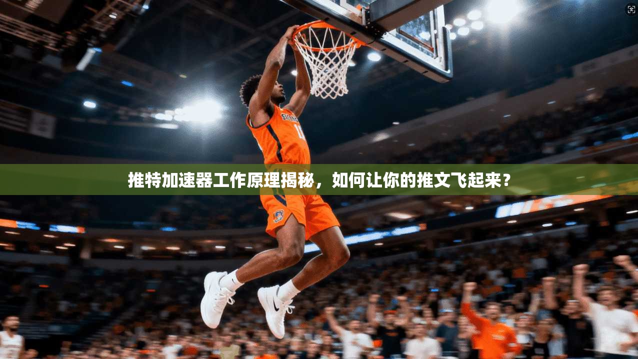 推特加速器工作原理揭秘，如何让你的推文飞起来？