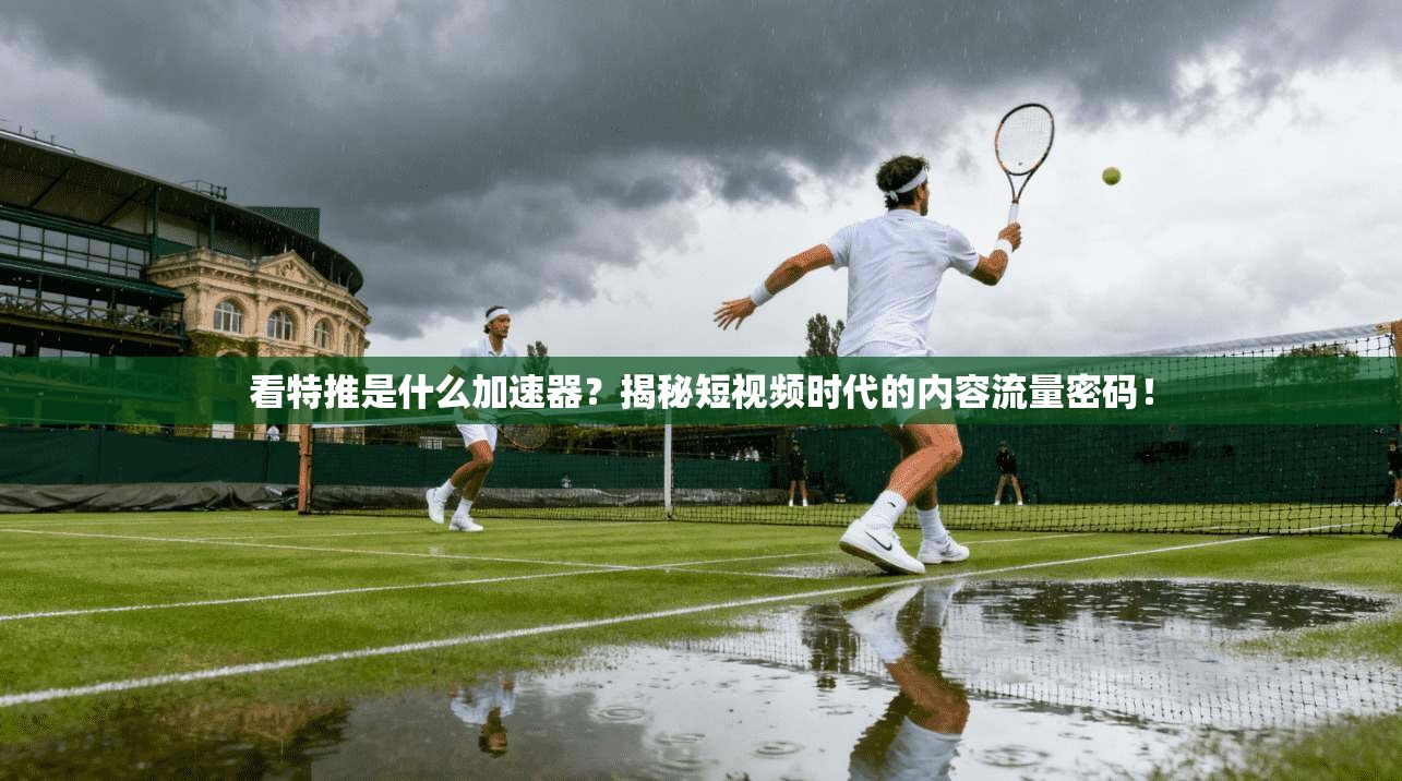 看特推是什么加速器？揭秘短视频时代的内容流量密码！