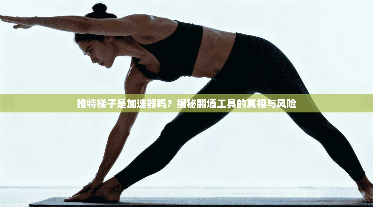 推特梯子是加速器吗？揭秘翻墙工具的真相与风险