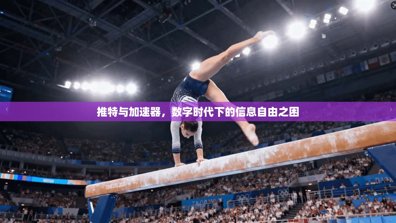 推特与加速器，数字时代下的信息自由之困