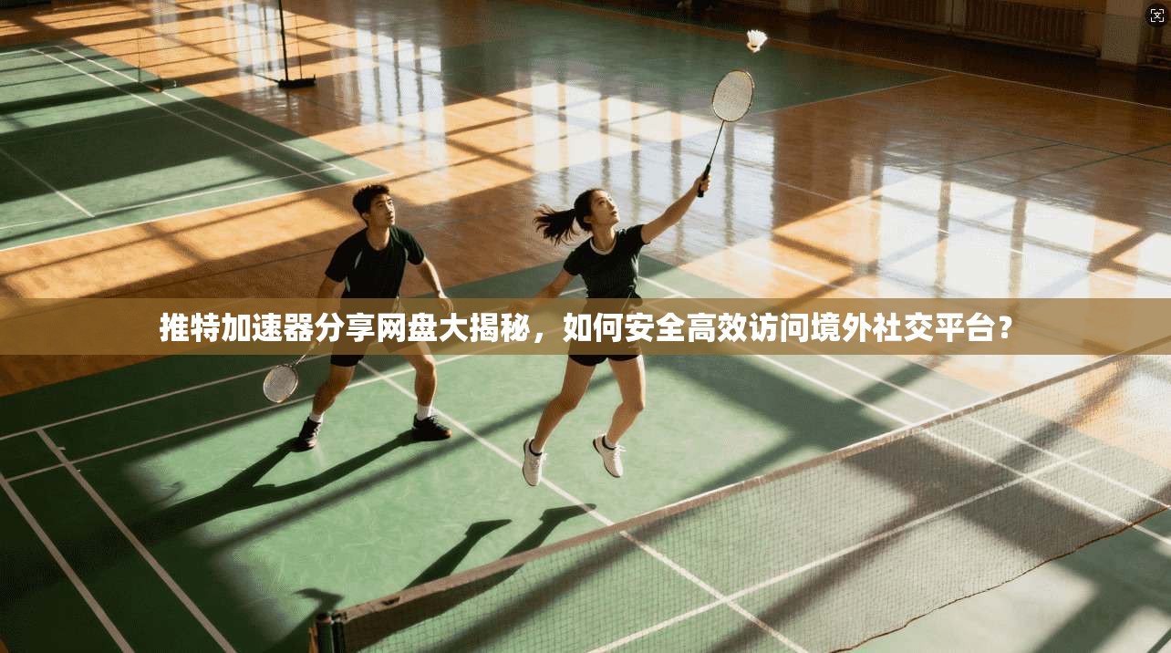 推特加速器分享网盘大揭秘，如何安全高效访问境外社交平台？